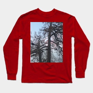 Shadowed Trees Photography My Long Sleeve T-Shirt